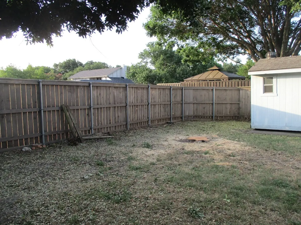 Cleared yard after professional tree removal in Malden On Hudson